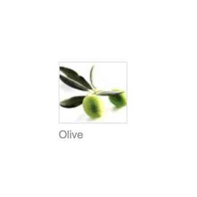 NIKEL, Łagodny peeling do twarzy z Olive Tree, 50ml